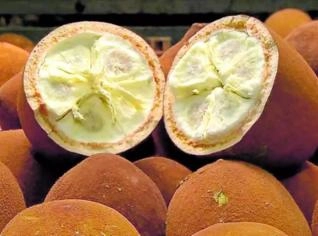 Manteiga de Cupuaçu Premium - 2kg
