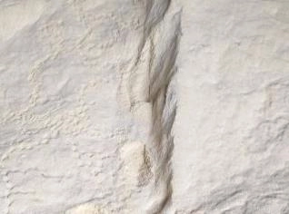 Gérmen de Milho - PR