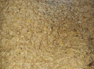 Casquinha de Soja - Ângulo, PR