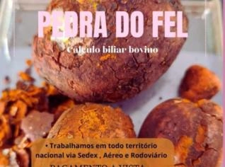 Pedra do Fel do Boi – Melhores Preços