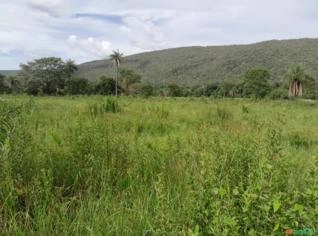 Fazenda para Agricultura e Pecuária em Arinos MG