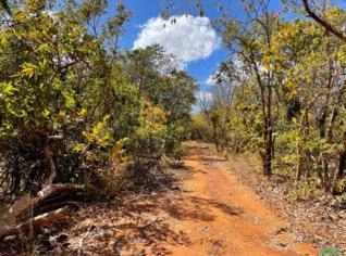 Fazenda Bruta de 84 Ha em Arinos - MG