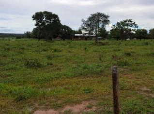 Fazenda em Arinos - Buriti Queimado