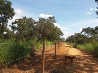 Fazenda em Arinos MG - 162,3 ha com Casa e Curral