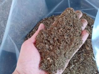 Adubo Orgânico Natural 2Kg - Sem Agrotóxicos