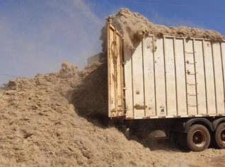 Bagaço de Cana para Confinamento de Bovinos