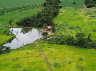 Fazenda de 75 Hectares em Uberaba