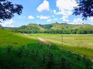 Fazenda Moderna em Cunha/SP - 83 Alqueires