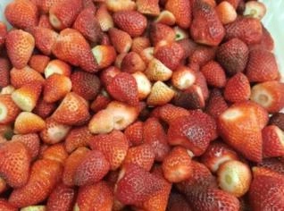 Morangos Congelados de Premium SC