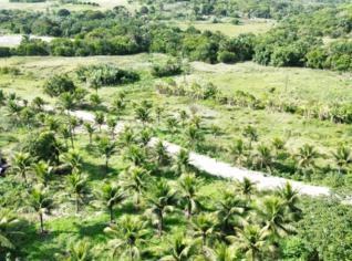 Sitio em Mamanguape - 10 Hectares com Rio