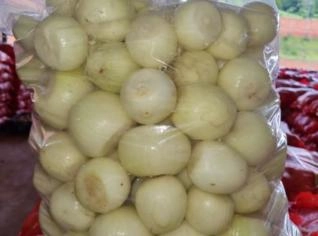 Cebola Descascada Higienizada - Pronta para Uso