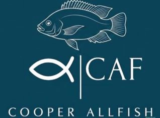 Tilápia Juvenil até 50g - Morretes, PR