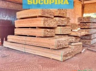 Vigas Sucupira Amarela de Qualidade
