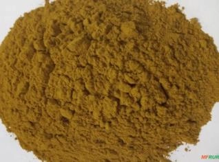 Cúrcuma em Pó 25 KG Importada - Atacado