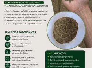 Fosfato Natural Fosforita - Fertilizante em Uberlândia
