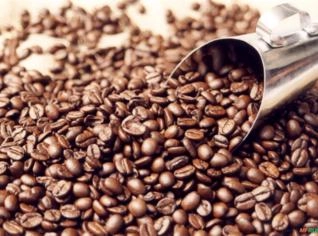 Fornecedor de Café em Grão