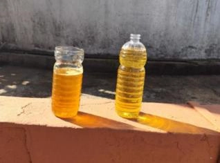 Óleo de Soja Extra Virgem - Pronto para Refino