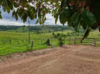 Sítio em Silvolândia - 2 alqueires à venda