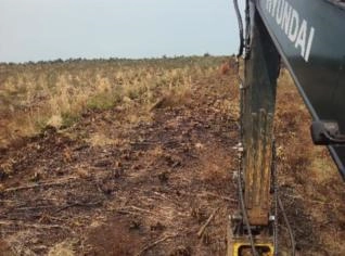 Destocamento Eficiente com Broca - Ibiraiaras
