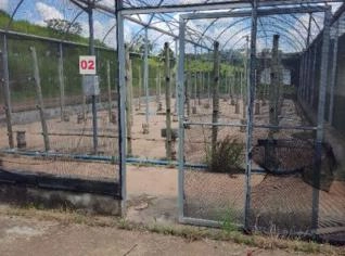 Arrendamento de Estufas Agrícolas em Atibaia