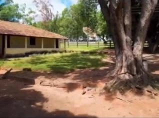Fazenda Pecuária 1.257 ha em São João da Ponte