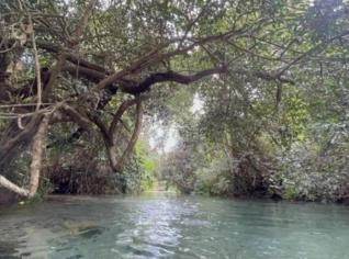 Fazenda em Água Fria de Goiás - 20 Milhões
