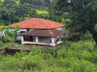 Fazenda Dupla Aptidão em Minas Gerais