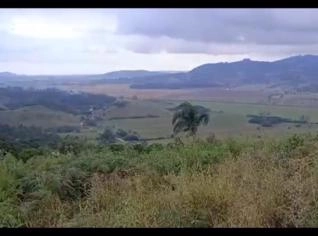 Terreno em Imaruí - Hectare com Eucalipto