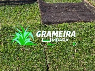 Grama São Carlos - Qualidade Premium
