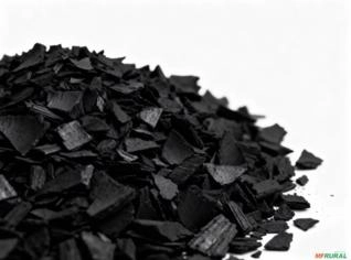 Carvão de Casca de Coco - Sustentável e Eficiente