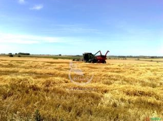 Investir com segurança no Uruguai