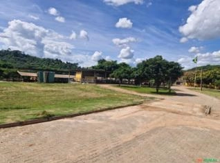 Fazenda Leiteira em ELÓI MENDES - 267 ha