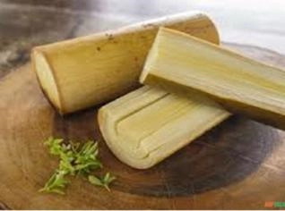 Palmito Pupunha In Natura para Restaurantes