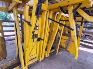 Tronco de Ipê Semi Novo com Coiceira