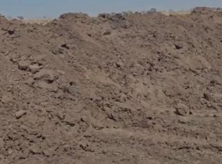 Esterco Bovino para Culturas Orgânicas