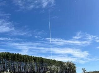 Fazenda Vereda II: 195 Hectares em Goiás