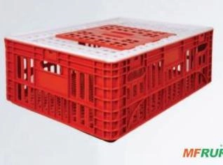 Caixa Vazada PL 10 Baixa - 100L