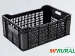 Caixa Vazada PL 15 - 47L para Frutas e Vegetais