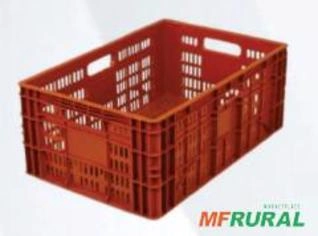Caixa Vazada PL 24 - 60L Ideal para Transporte