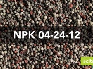 Fertilizante NPK 04-24-12 - Cibra, 1000kg