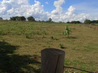 1 Hectare no Assentamento Santa Monica, MS