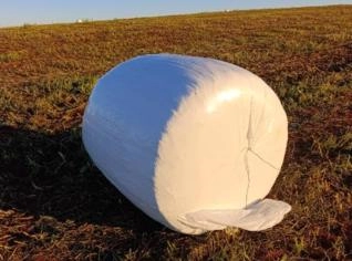 Aveia Pré Secada - Milheto e Sorgo