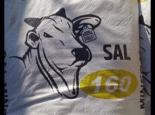 Sal Mineral 160F para Animais