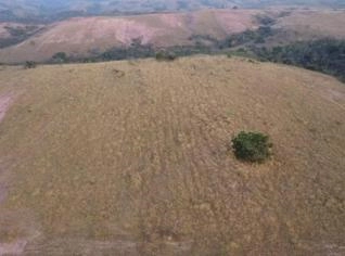 Fazenda de 61 Hectares em Varjão de Minas