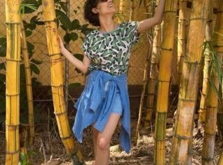 Bambu Imperial Gigante à venda