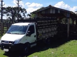 Caminhão Iveco Daily 35S14 com gaiola boiadeira