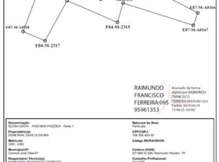 Fazenda com 203 hectares em Coronel José Dias