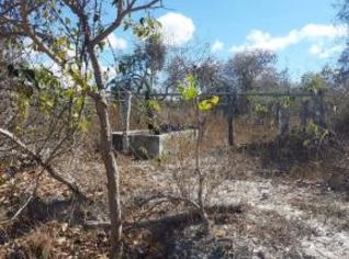 Fazenda de 183 Hectares em Riacho dos Machados