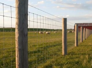 Palanque e Tela - Sob Encomenda