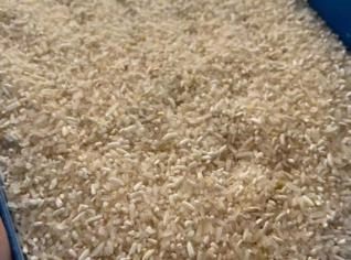 Quirera de Arroz - 50 KG - Frete FOB